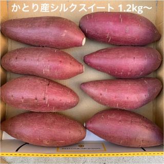 千葉県かとり産　シルクスイート　S 1.2kg(野菜)