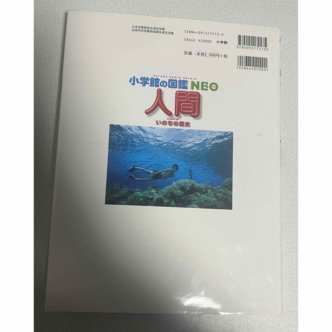 小学館の図鑑neo 人間 エンタメ/ホビーの本(絵本/児童書)の商品写真