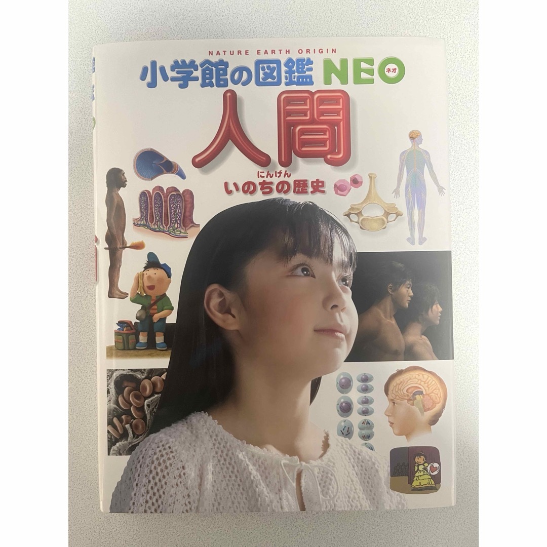 小学館の図鑑neo 人間 エンタメ/ホビーの本(絵本/児童書)の商品写真