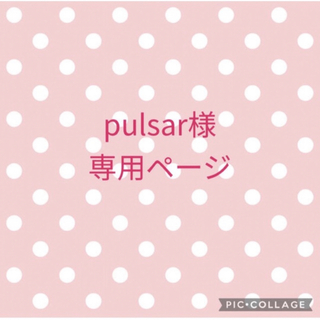 pulsar様専用ページ(その他)