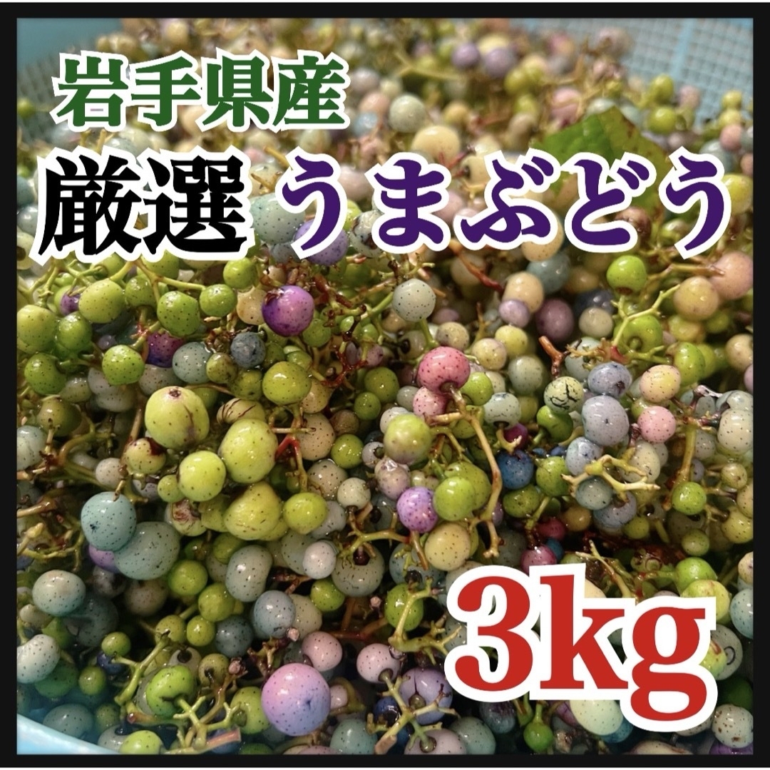 【在庫わずか】馬ぶどう250g×12袋　1年分3kg うまぶどう　薬膳　民間療法