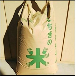 人気🍙店への出荷米 コシヒカリ 玄米30kg 栃木県(米/穀物)