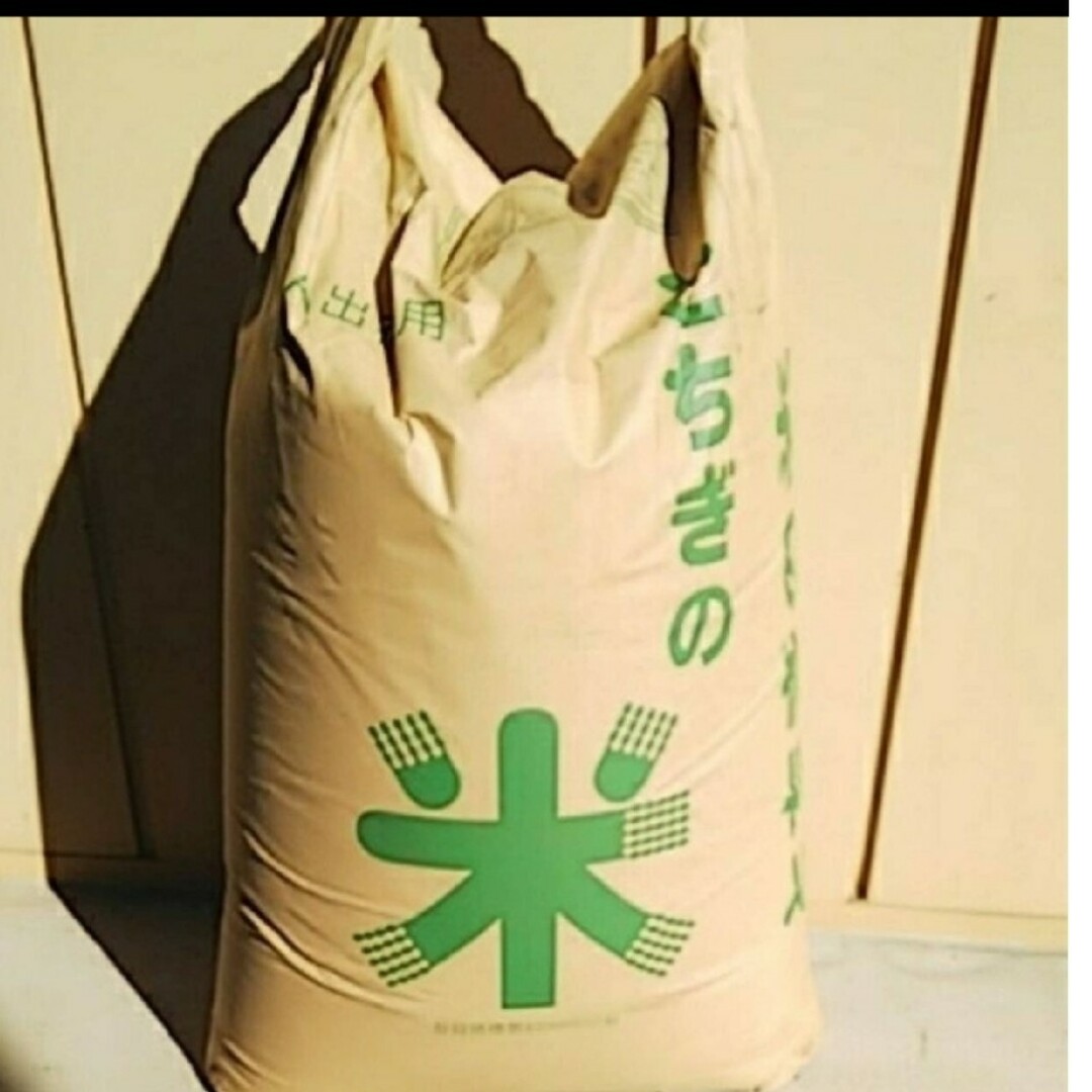 ryoushunkai様専用🍙 食品/飲料/酒の食品(米/穀物)の商品写真