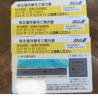 エーエヌエー(ゼンニッポンクウユ)(ANA(全日本空輸))の【最新】ANA★株主優待券★3枚(航空券)