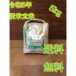 令和5年度産 新米 玄米ヒノヒカリ5kg (米/穀物)