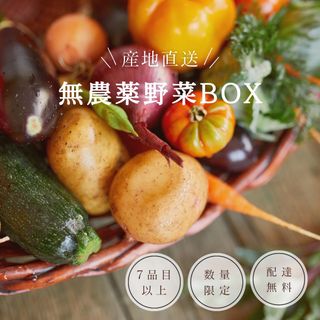 愛媛県東温農園【無農薬】【農家直送】気まぐれお野菜詰め合わせ♪(野菜)