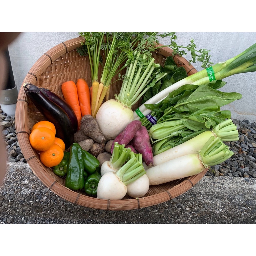 【着払い】愛媛県東温農園【朝どれ＋当日発送】気まぐれお野菜詰め合わせ♪ 食品/飲料/酒の食品(野菜)の商品写真