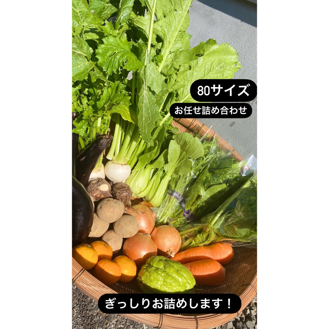 【着払い】愛媛県東温農園【朝どれ＋当日発送】気まぐれお野菜詰め合わせ♪ 食品/飲料/酒の食品(野菜)の商品写真