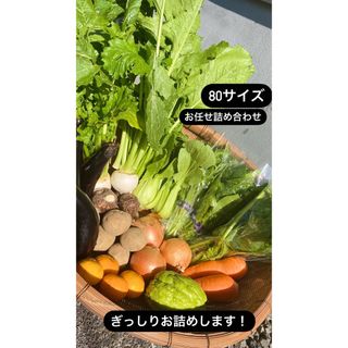 【着払い】愛媛県東温農園【朝どれ＋当日発送】気まぐれお野菜詰め合わせ♪(野菜)