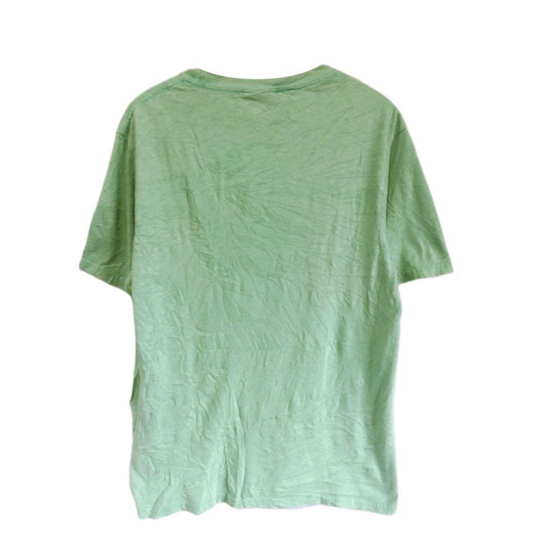 LRG(エルアールジー)のLRG　Tシャツ　M　薄緑　USA古着 メンズのトップス(Tシャツ/カットソー(半袖/袖なし))の商品写真