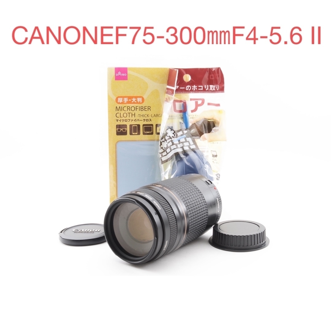 【付属品付き】キャノン CANON EF 75-300㎜ F4-5.6 II