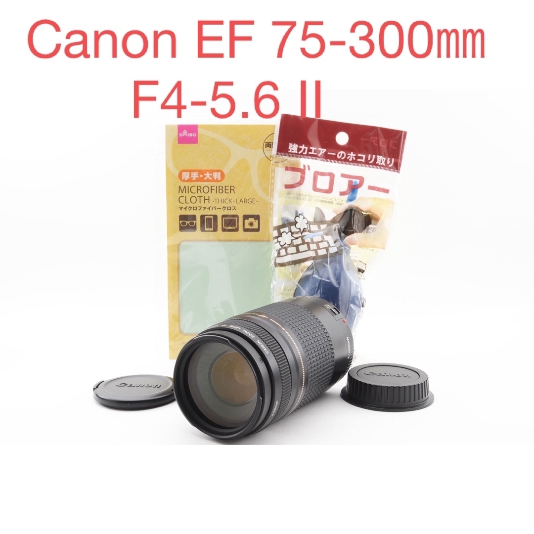 リモコン付き!Canon キヤノン望遠レンズ EF90-300mm イベントに リモコン付き!Canon キヤノン望遠レンズ EF90-300mm イベントに