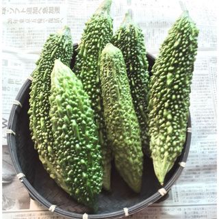 宮古島産ゴーヤー(6本)(野菜)