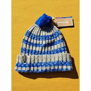 パタゴニア(patagonia)のパタゴニア Wool Pom Beanie ASAB 2021(ニット帽/ビーニー)