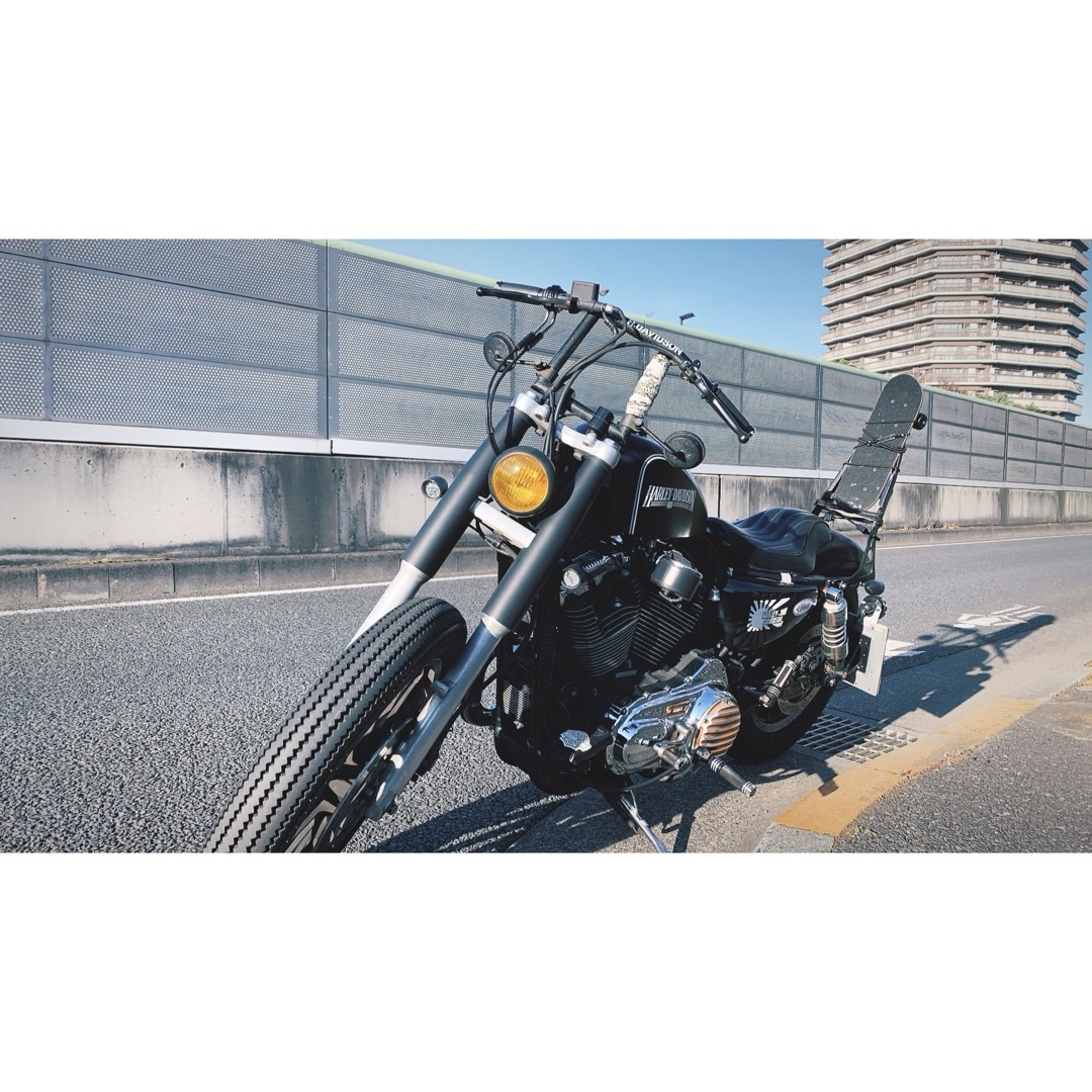 HARLEY-DAVIDSON（ハーレーダビッドソン）ヤッコカウル　レア　黒