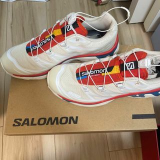 SALOMON - 【SALOMON】XT-6 24cmの通販｜ラクマ