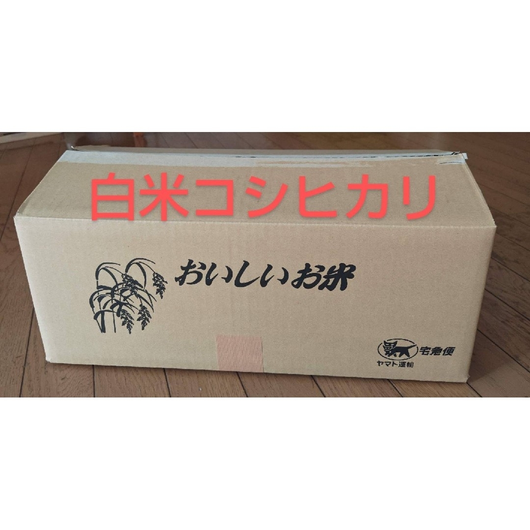 人気🍙店に出荷米 精米済み コシヒカリ 約10kg 栃木県 食品/飲料/酒の食品(米/穀物)の商品写真