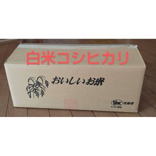 人気🍙店に出荷米 精米済み コシヒカリ 約10kg 栃木県(米/穀物)