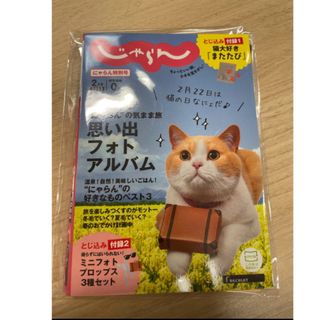 にゃらん特別号 非売品(猫)