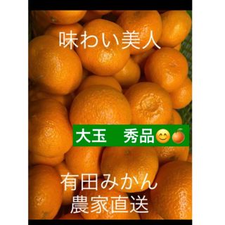 有田みかん農家直送☆ブランド味わい美人大玉秀品箱込み5キロ(フルーツ)