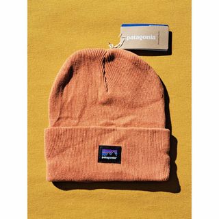 パタゴニア(patagonia)のパタゴニア Everyday Beanie ニット CYNB 2021(ニット帽/ビーニー)