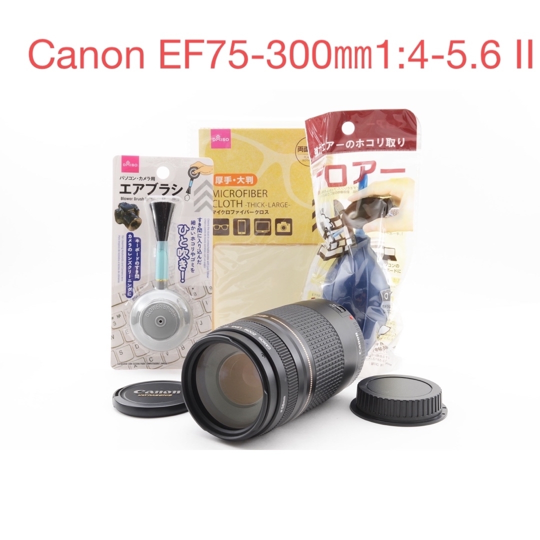 選ぶなら 大迫力300㎜☆キヤノン☆Canon EF75-300㎜F4-5.6 - II レンズ 選ぶなら 大迫力300㎜☆キヤノン☆Canon EF75-300㎜F4-5.6 - II レンズ