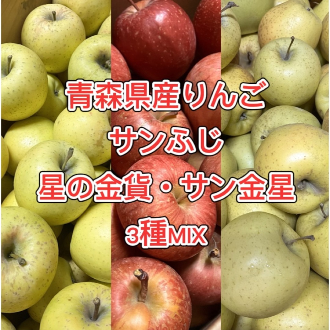 【産地直送】青森県産りんご  家庭用  10kg 食品/飲料/酒の食品(フルーツ)の商品写真