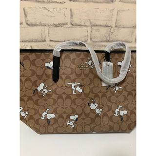 新品未使用 COACH バッグ コーチ コラボ カーキ　スヌーピー柄 ポーチ