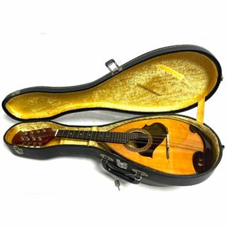マンドリンの通販 100点以上(楽器) | お得な新品・中古・未使用品の