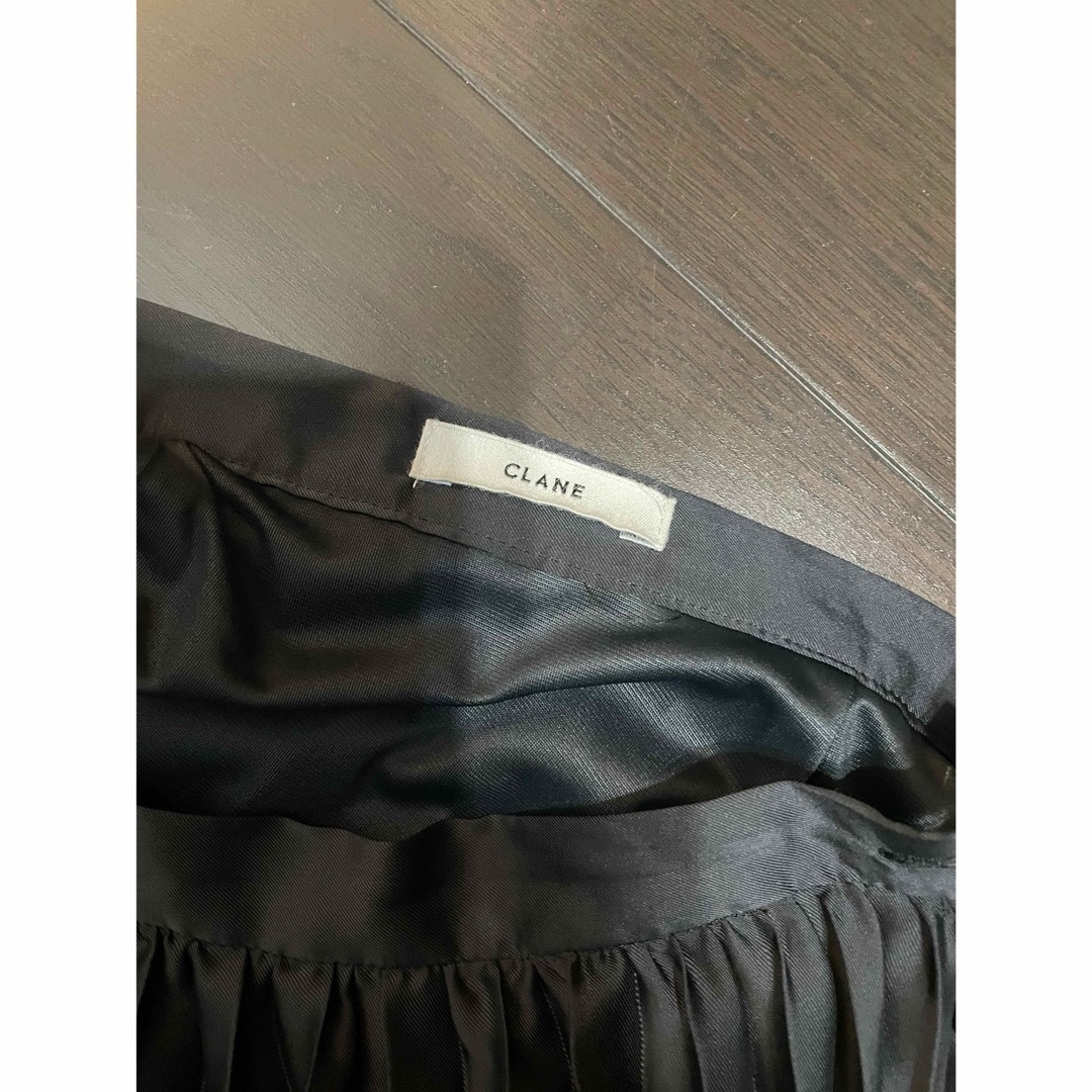 CLANE(クラネ)のクラネ　フラワーペイントロングプリーツスカート レディースのスカート(ロングスカート)の商品写真