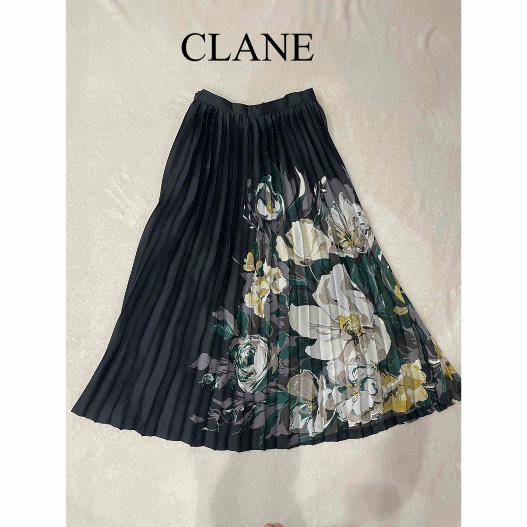 CLANE(クラネ)のクラネ　フラワーペイントロングプリーツスカート レディースのスカート(ロングスカート)の商品写真