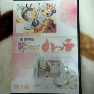DVD  新みなしごハッチ①(その他)