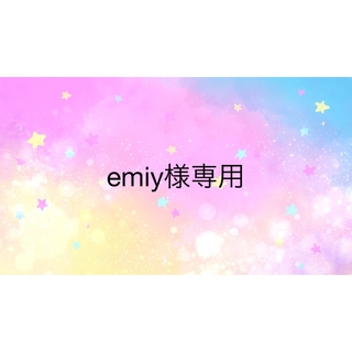 emiy様専用(ブラ)