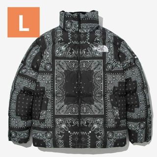 ザノースフェイス(THE NORTH FACE)のノベルティ ロフティ ダウン ジャケット　ノースフェイス　黒　バンダナ　ヌプシ(ダウンジャケット)