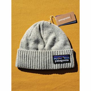 パタゴニア(patagonia)のパタゴニア Brodeo Beanie ニット PLDG 2022(ニット帽/ビーニー)