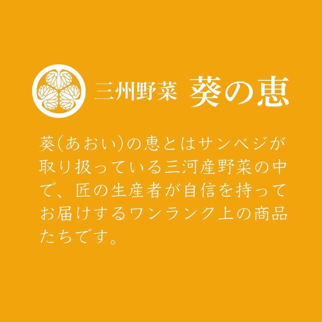 ヒロ1007様専用みかん3kgいちご4pセット 食品/飲料/酒の食品(フルーツ)の商品写真