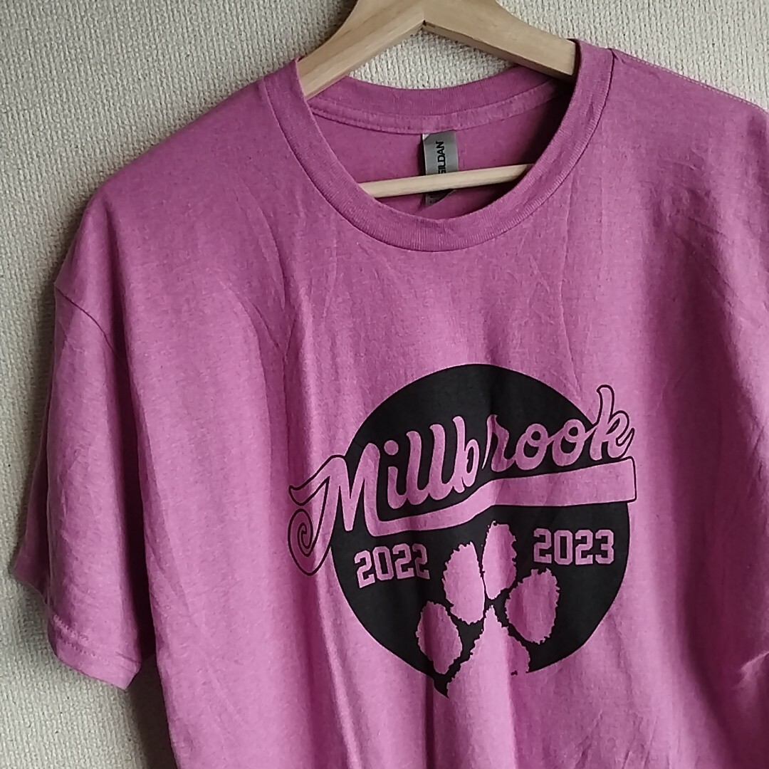 GILDAN(ギルタン)のGILDAN ギルダン　Tシャツ　くすみピンク　Lサイズ　Millbrook レディースのトップス(Tシャツ(半袖/袖なし))の商品写真