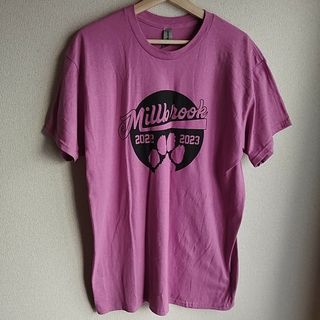 ギルタン(GILDAN)のGILDAN ギルダン　Tシャツ　くすみピンク　Lサイズ　Millbrook(Tシャツ(半袖/袖なし))