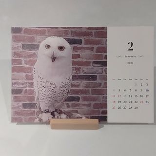 もふもふカレンダー(カレンダー/スケジュール)