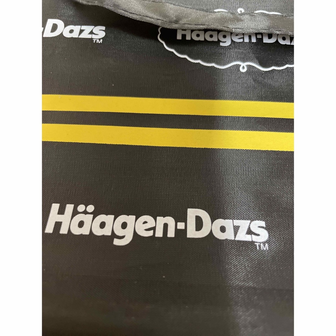 Haagen-Dazs(ハーゲンダッツ)のハーゲンダッツ保冷袋 レディースのバッグ(エコバッグ)の商品写真