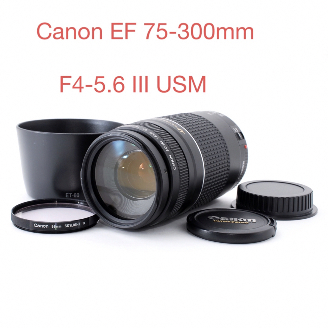 多様な 75-300mm EF 極上品☆キャノンCanon F4-5.6 USM III レンズ