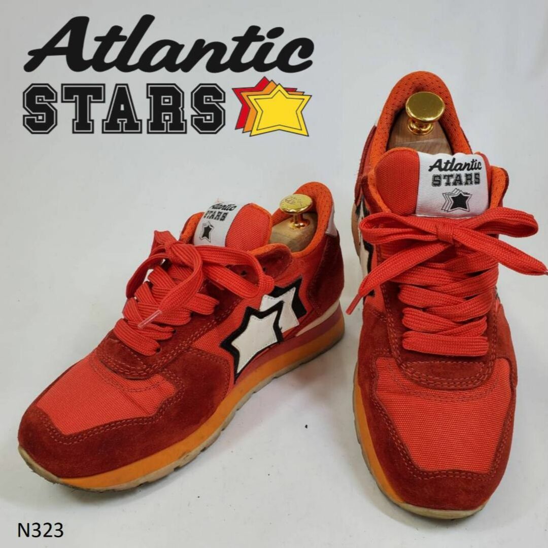 ぷん23cm相当N323　Atlantic STARS　アトランティックスターズ　スター　マルチ