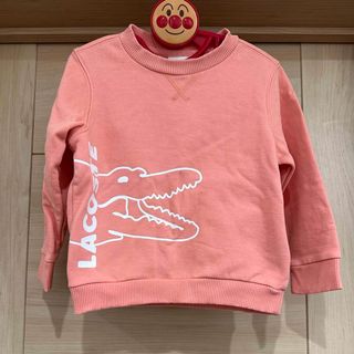 ラコステ(LACOSTE)の【 LACOSTE 】 トレーナー(Tシャツ/カットソー)