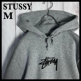 【希少】stussy ステューシー　アーチロゴ　迷彩　スウェット　人気