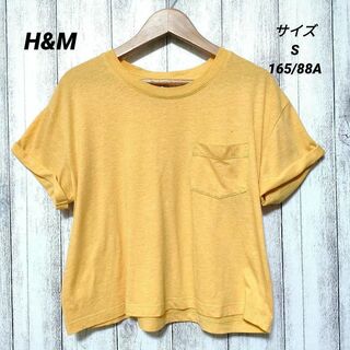 エイチアンドエム(H&M)のH&M　(S 165/88A)　Tシャツ(Tシャツ(半袖/袖なし))