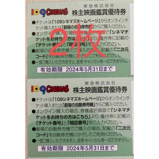 109シネマズ優待券　2枚(その他)