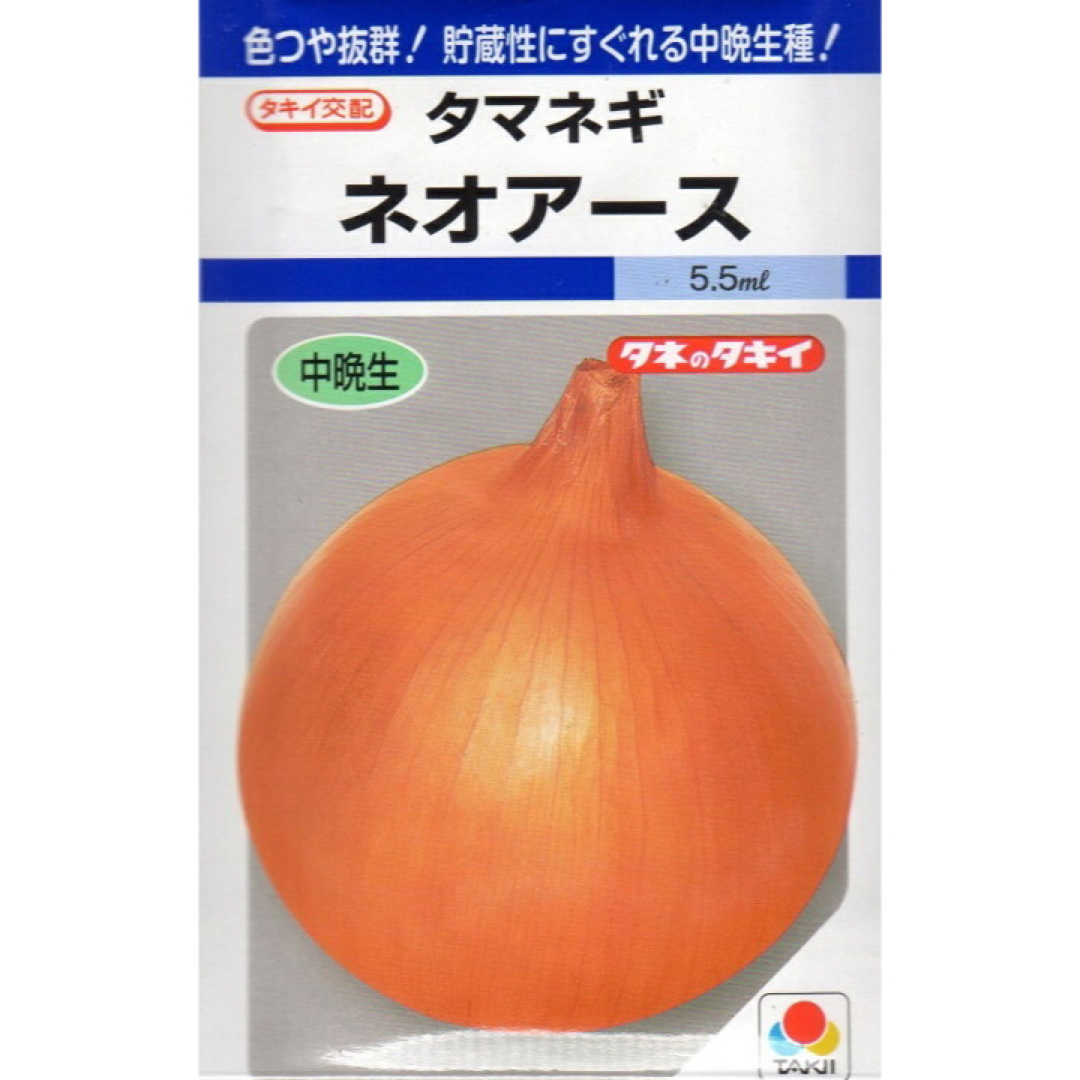 種苗店からお届け‼️ネオアース玉ねぎ苗100本入‼️ 食品/飲料/酒の食品(野菜)の商品写真