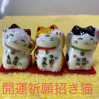 開運祈願  招き猫　開運 風水 縁起物 金運 財運 運気 招き猫 風水 商売繁盛(その他)