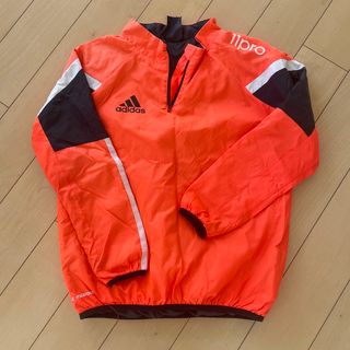 アディダス(adidas)のアディダス　中綿ピステ(ジャケット/上着)