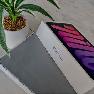 アイパッド(iPad)のiPad mini 第6世代 Sellular 64GB(タブレット)